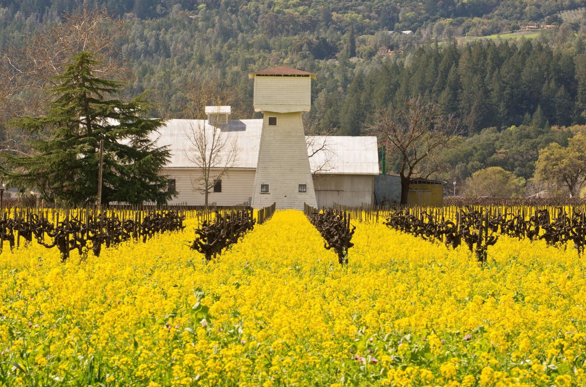 Shady Oaks Country Inn St. Helena Exteriér fotografie